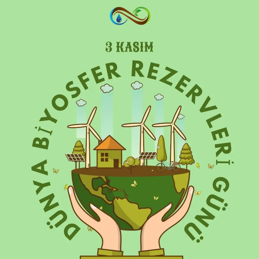 Dünya Sürdürülebilirlik Rehberi: Adımlar ve Umutlar