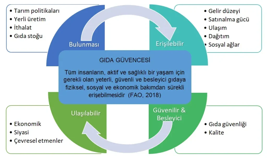 Dünya tarımı ve gıda güvencesi stratejileri: Küresel yol