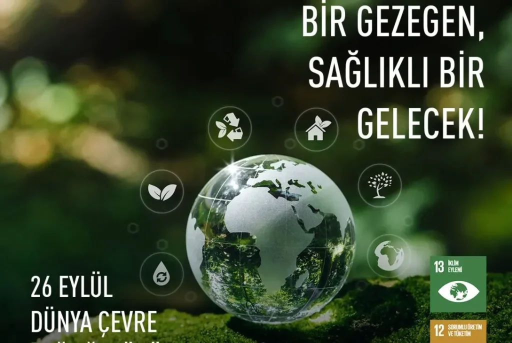 Dünya Sağlığı: Pandemi Sonrası Sistemler ve Önlemler